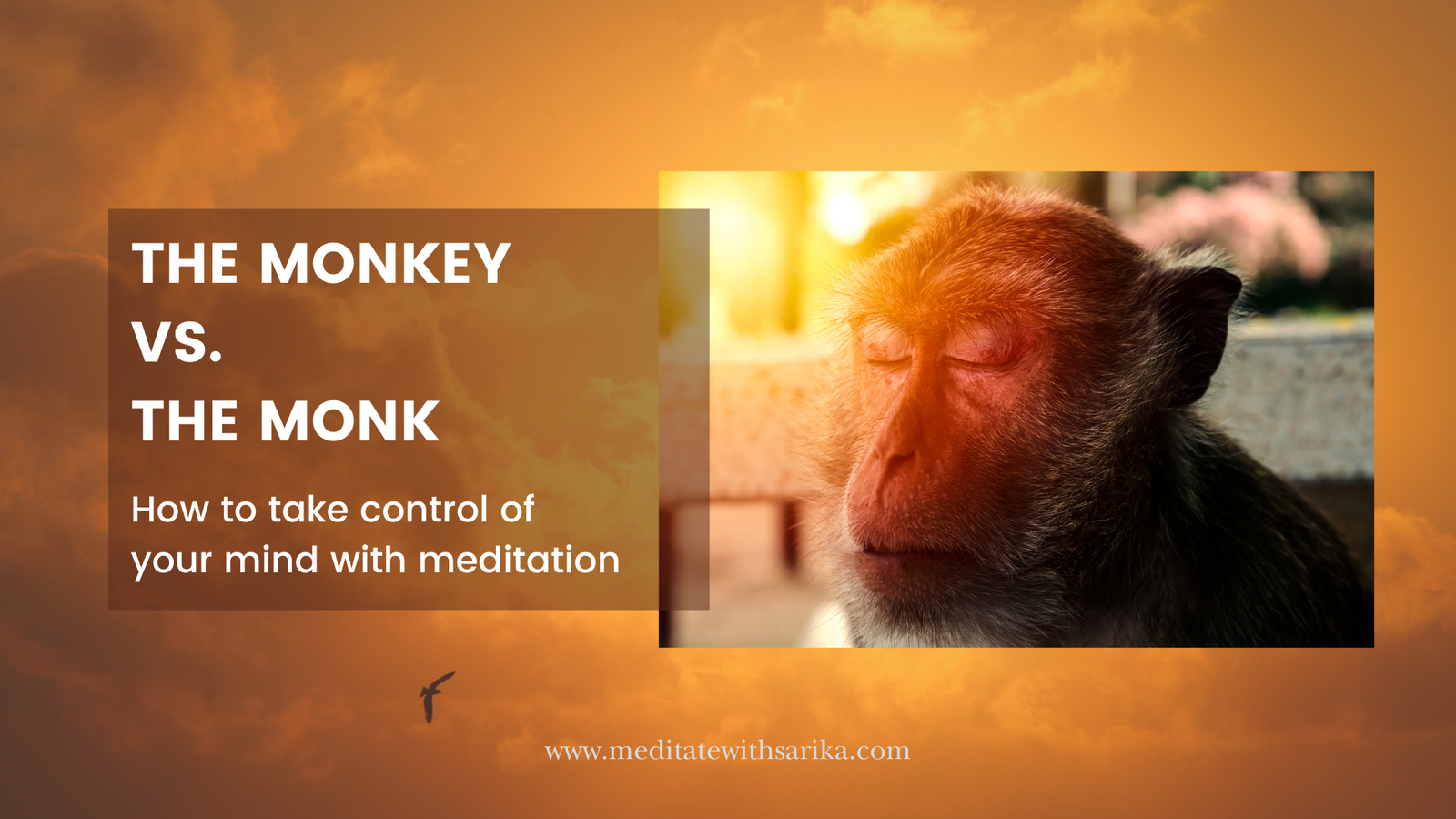 How To Take Control Of Your Mind With Meditation - Meditate with Sarika